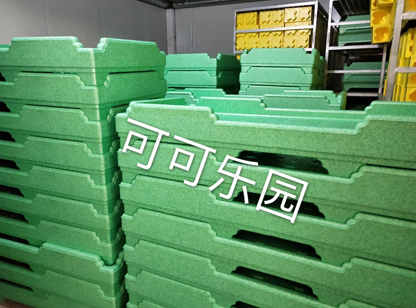 EPP儿童床3